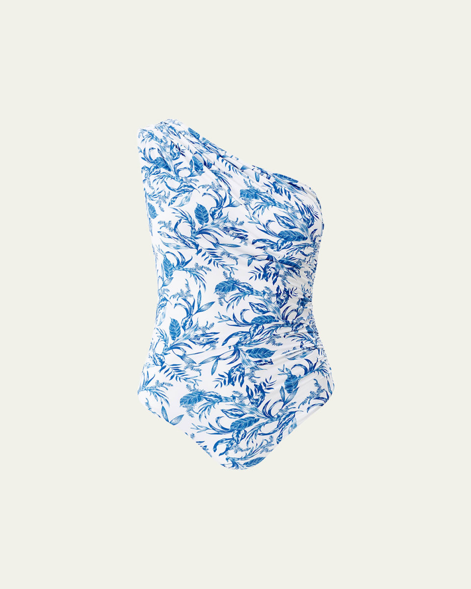 Arizona One-Piece Swimsuit